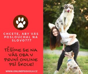 online psí škola